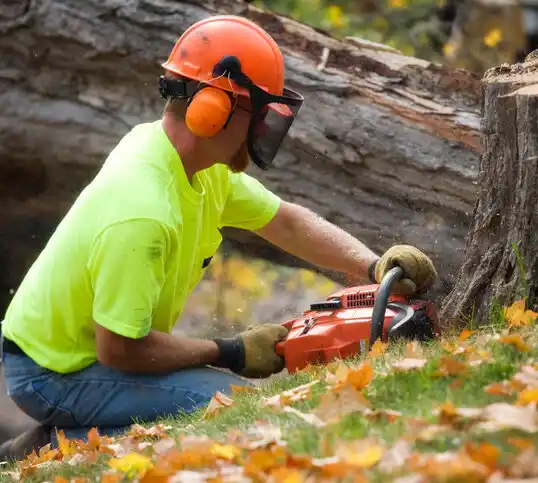 tree services Bayou Gauche